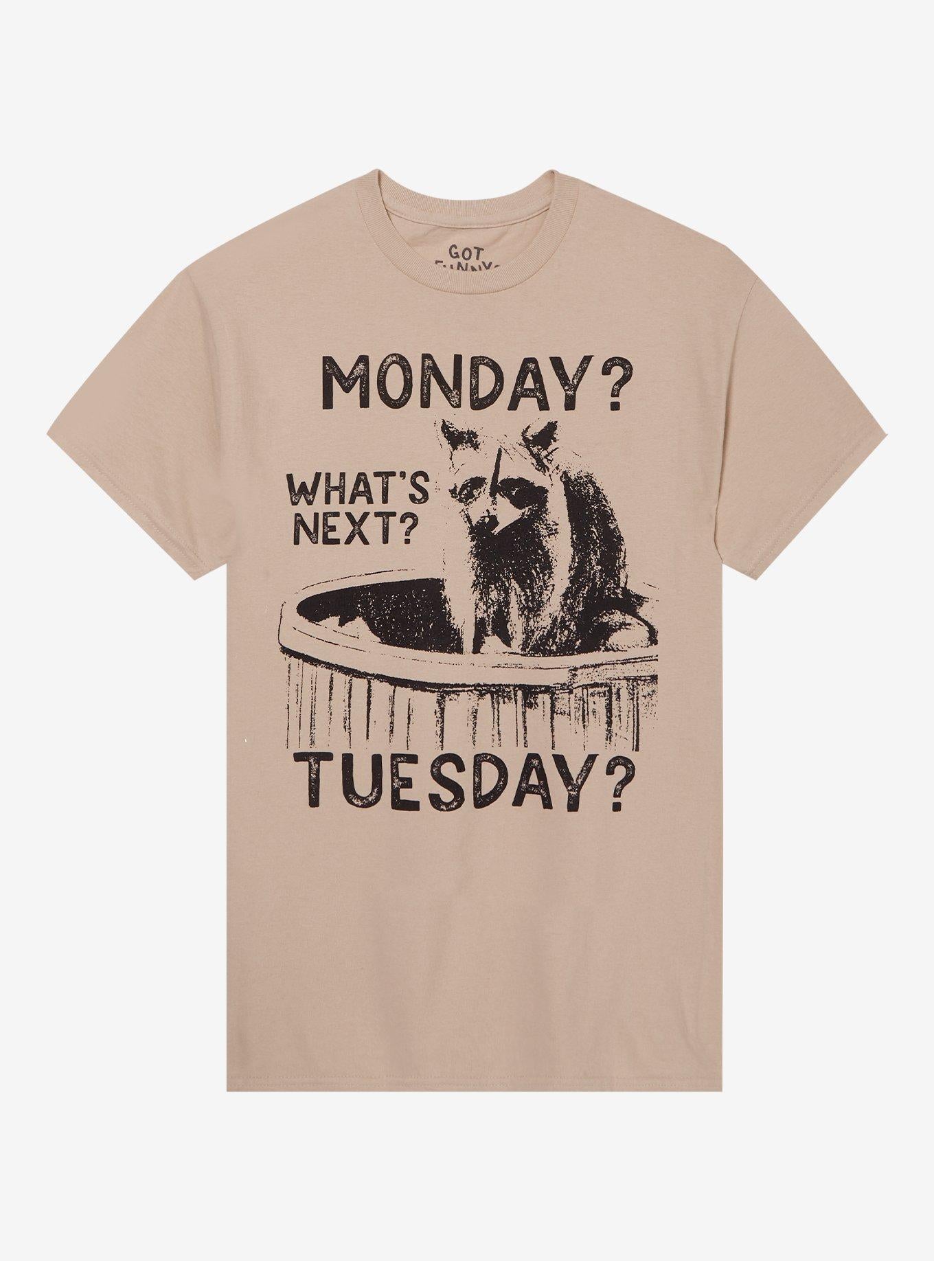 Raccoon Days Of The Week T-Shirt By Got Funny?