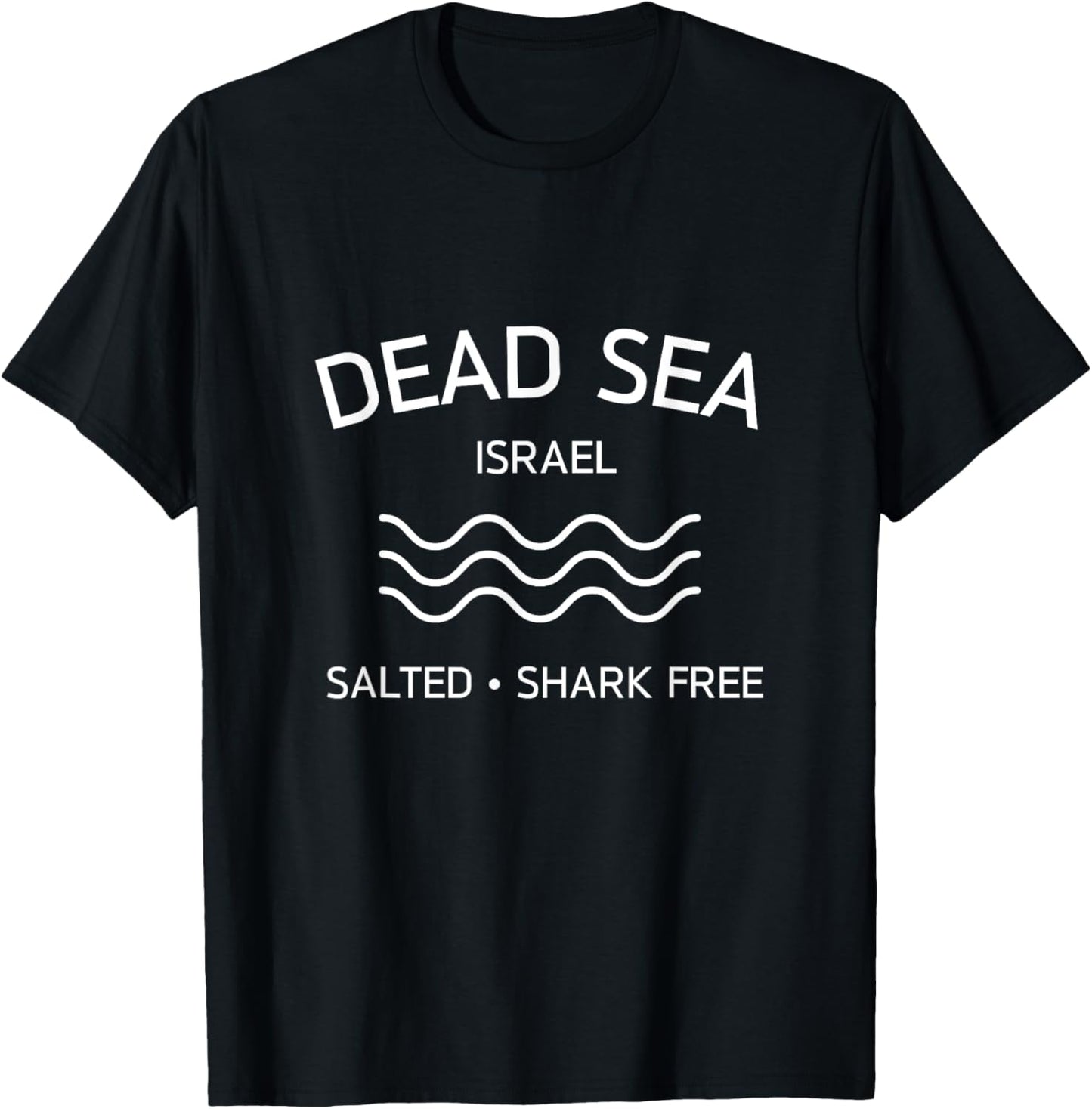 Dead Sea Salted Shark Free Israel Travel lowest place earth