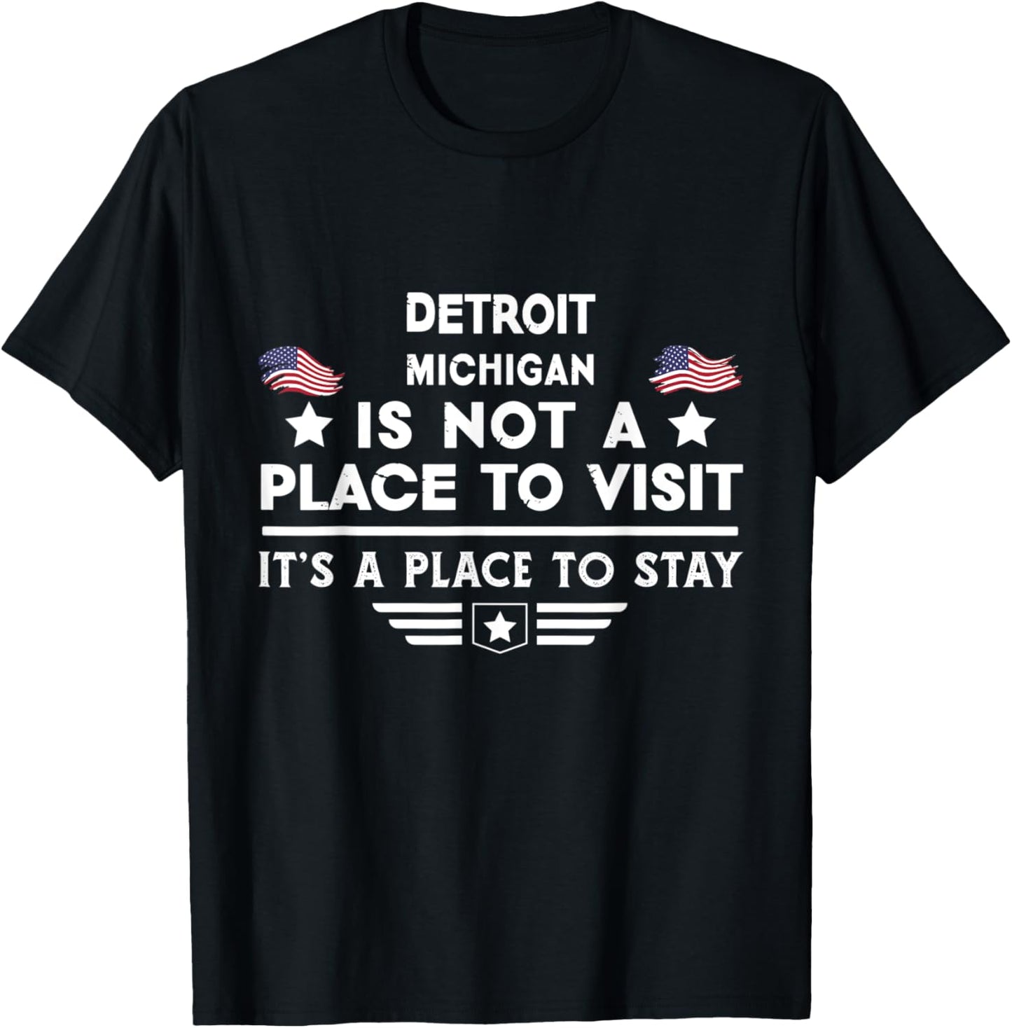 Detroit Michigan Place to stay USA Town Home City