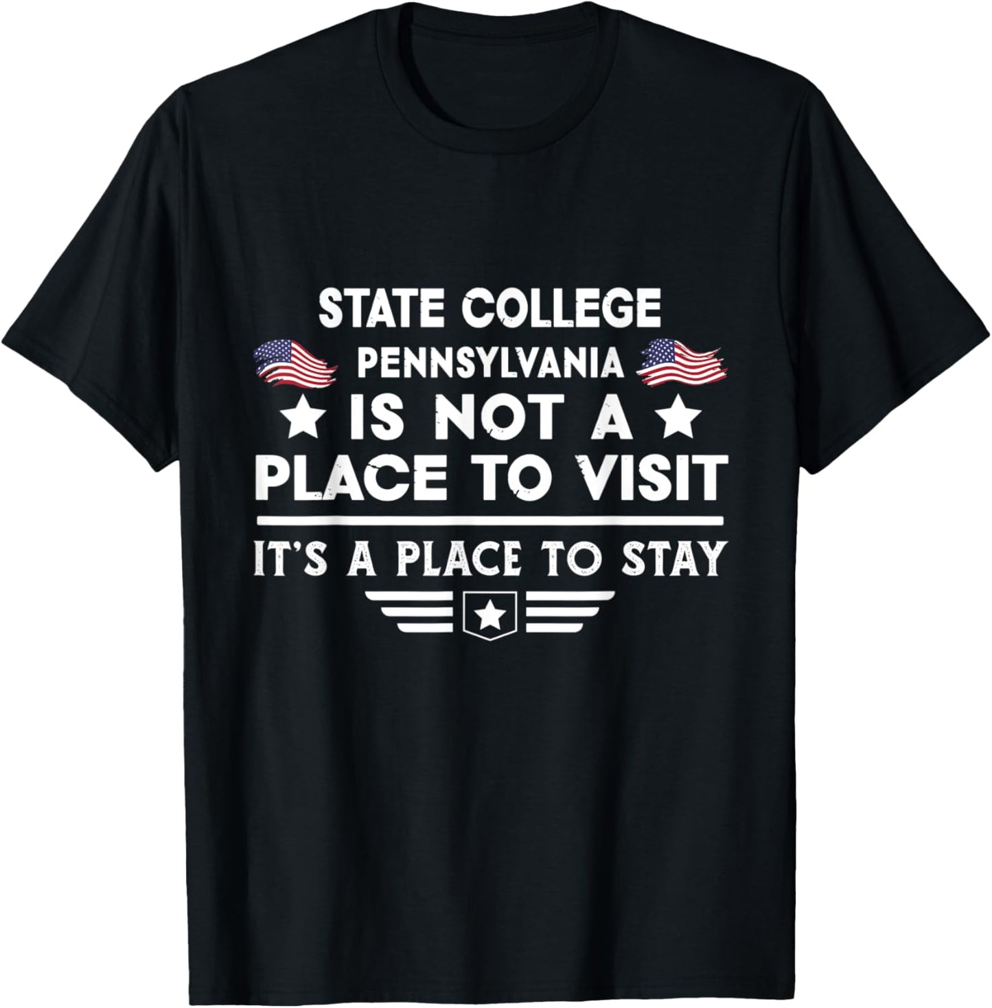 State College Pennsylvania Place to stay USA Town Home City