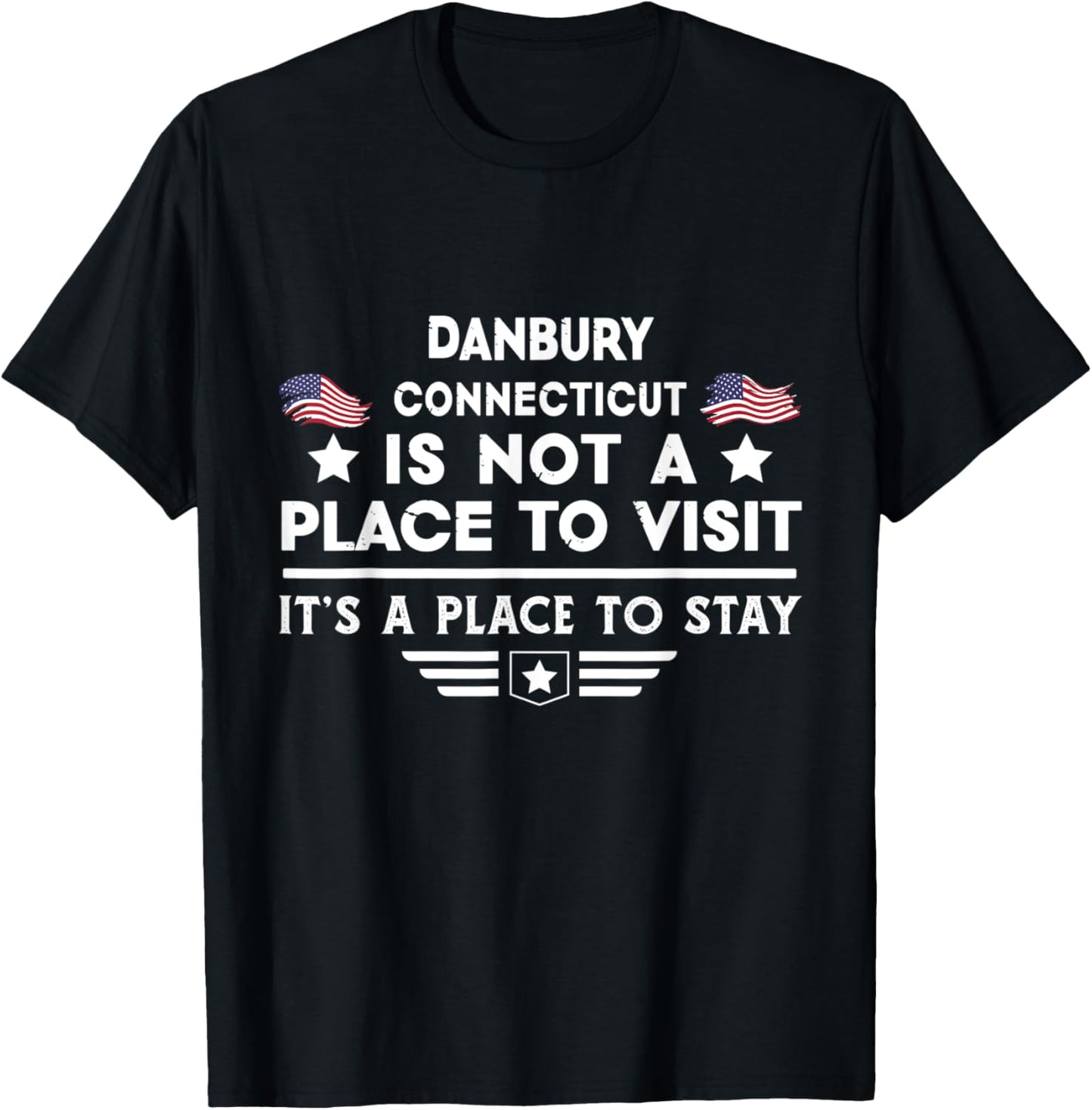 Danbury Connecticut Place to stay USA Town Home City