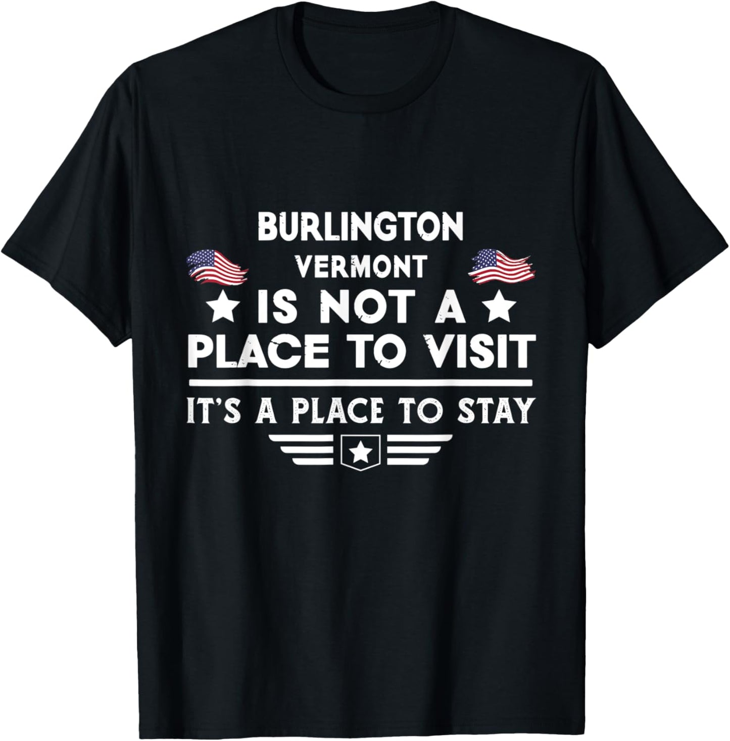 Burlington Vermont Place to stay USA Town Home City