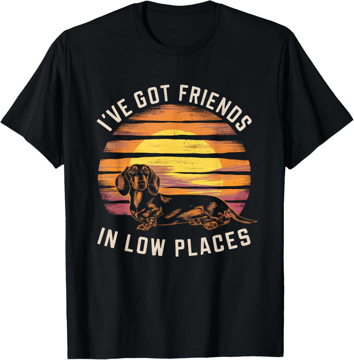 Basset Hound Dog Breed I've Got Friends in Low Places T-Shirt for Men Women Kids