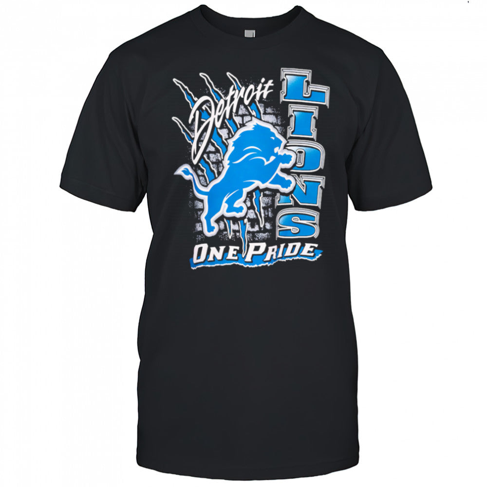 Detroit Lions One Pride Vintage shirt