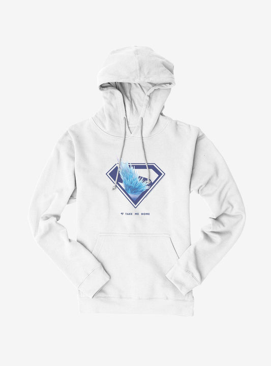 DC Superman Fortress Of Solitude Hoodie