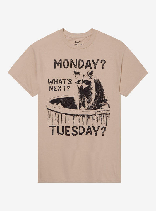 Raccoon Days Of The Week T-Shirt By Got Funny?