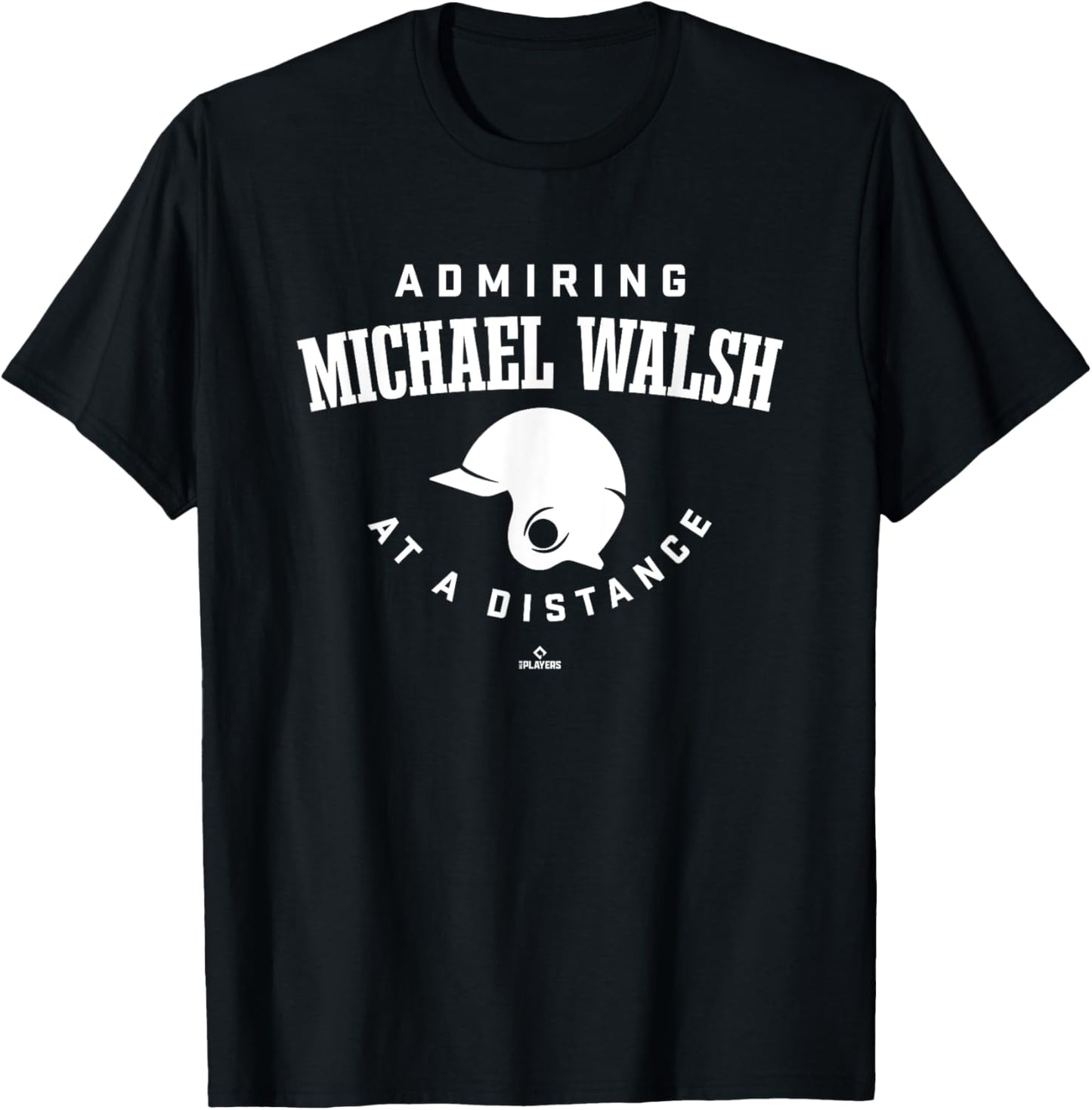 Admiring at a Distance Michael Walsh Prospect Baseball Fan