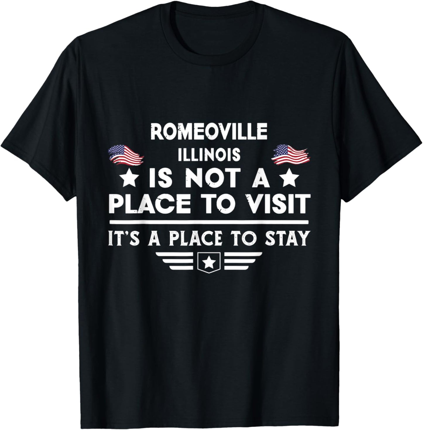 Romeoville Illinois Place to stay USA Town Home City