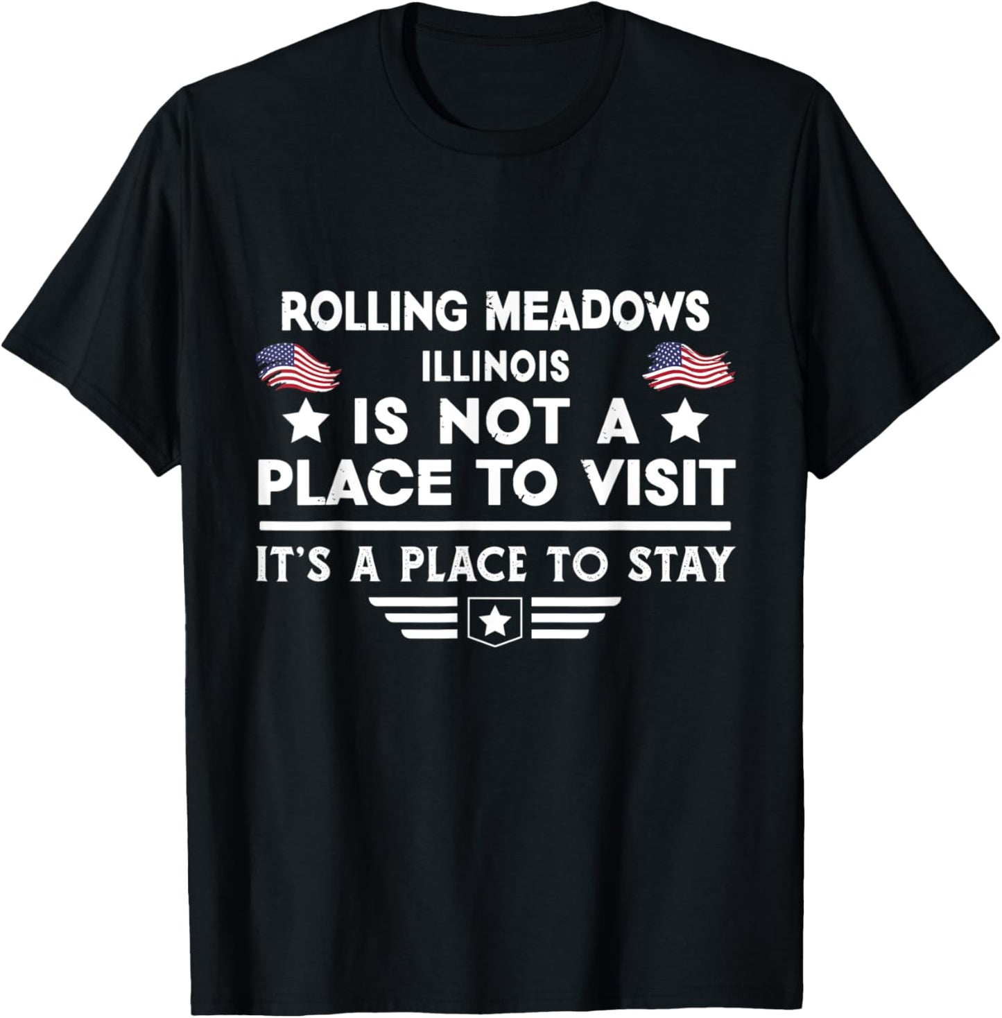 Rolling Meadows Illinois Place to stay USA Town Home City