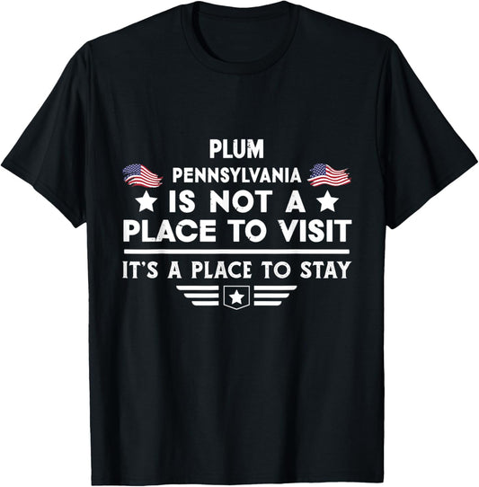 Plum Pennsylvania Place to stay USA Town Home City