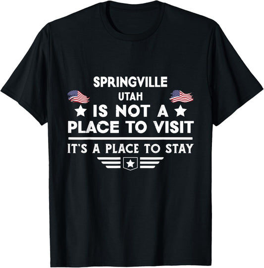Springville Utah Place to stay USA Town Home City