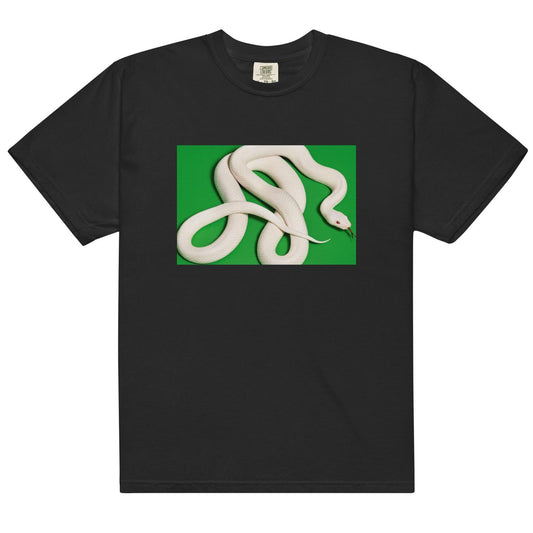 Private Music T-Shirt Minimalist Band-Inspired Comfort Colors