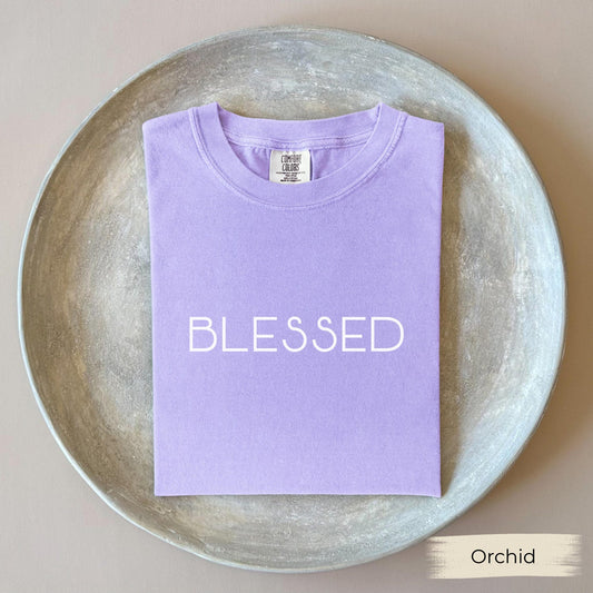 Blessed Shirt, Comfort Colors Unisex Inspirational Motivational Positive Message Minimalist Shirt, Gift for Coworker,